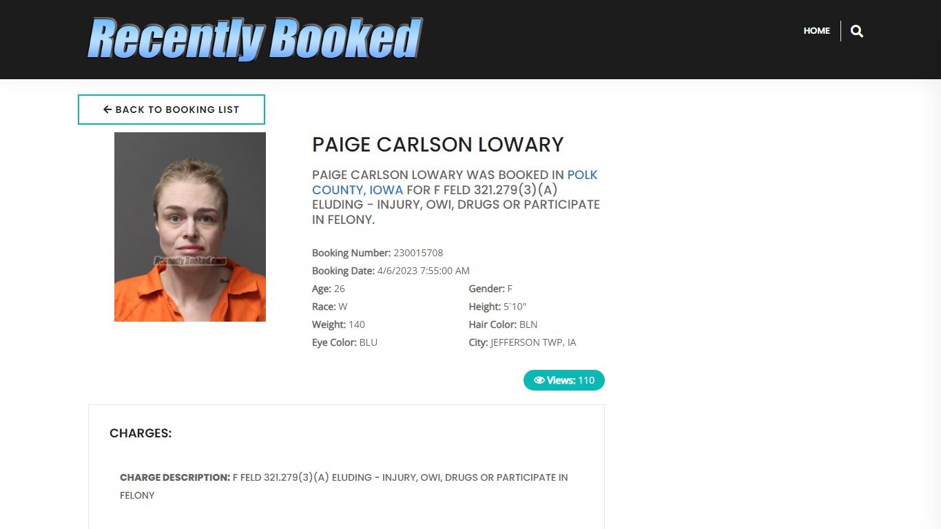 Recent Booking / Mugshot for PAIGE CARLSON LOWARY in Polk County, Iowa